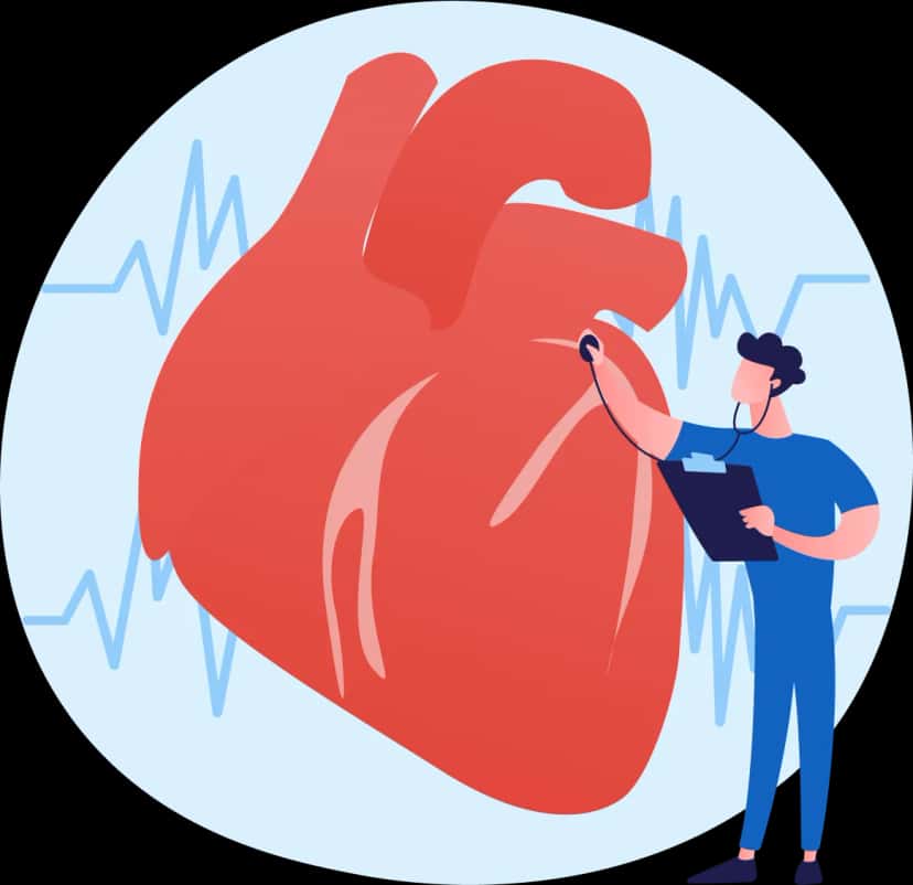 Heart Attack Prediction System