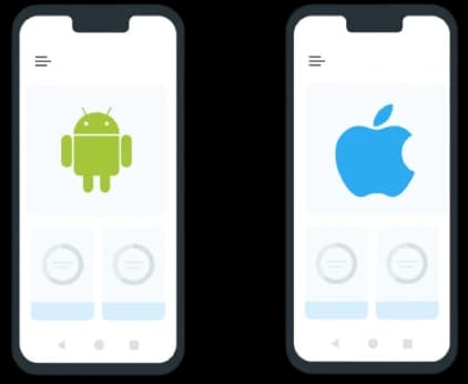 Flutter development image