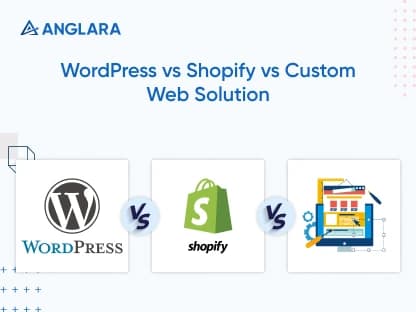 WordPress vs Shopify vs Custom Web Solution: An Ultimate Guide to Help You Decide Which Platform is Best for Your E-commerce Needs